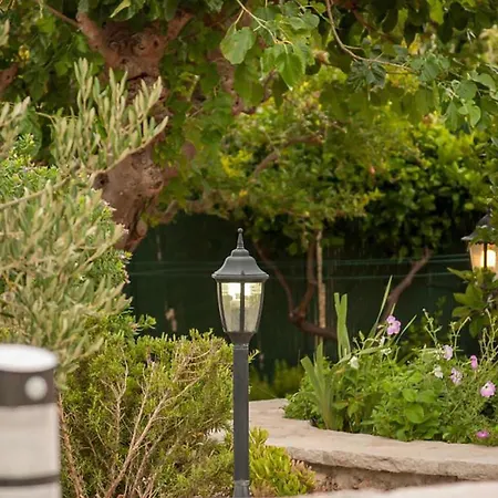 Pet Friendly In With Wifi