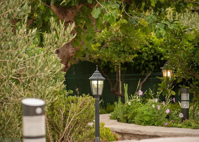 Pet Friendly In With Wifi