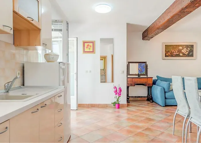 Pet Friendly In With Wifi Apartament